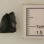 Lithic Raw Material