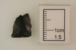 Lithic Raw Material